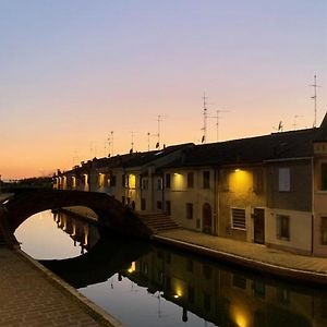 Agatopisto Animo Salmastro