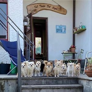 B&B Il tempo del sogno Pet&Breakfast
